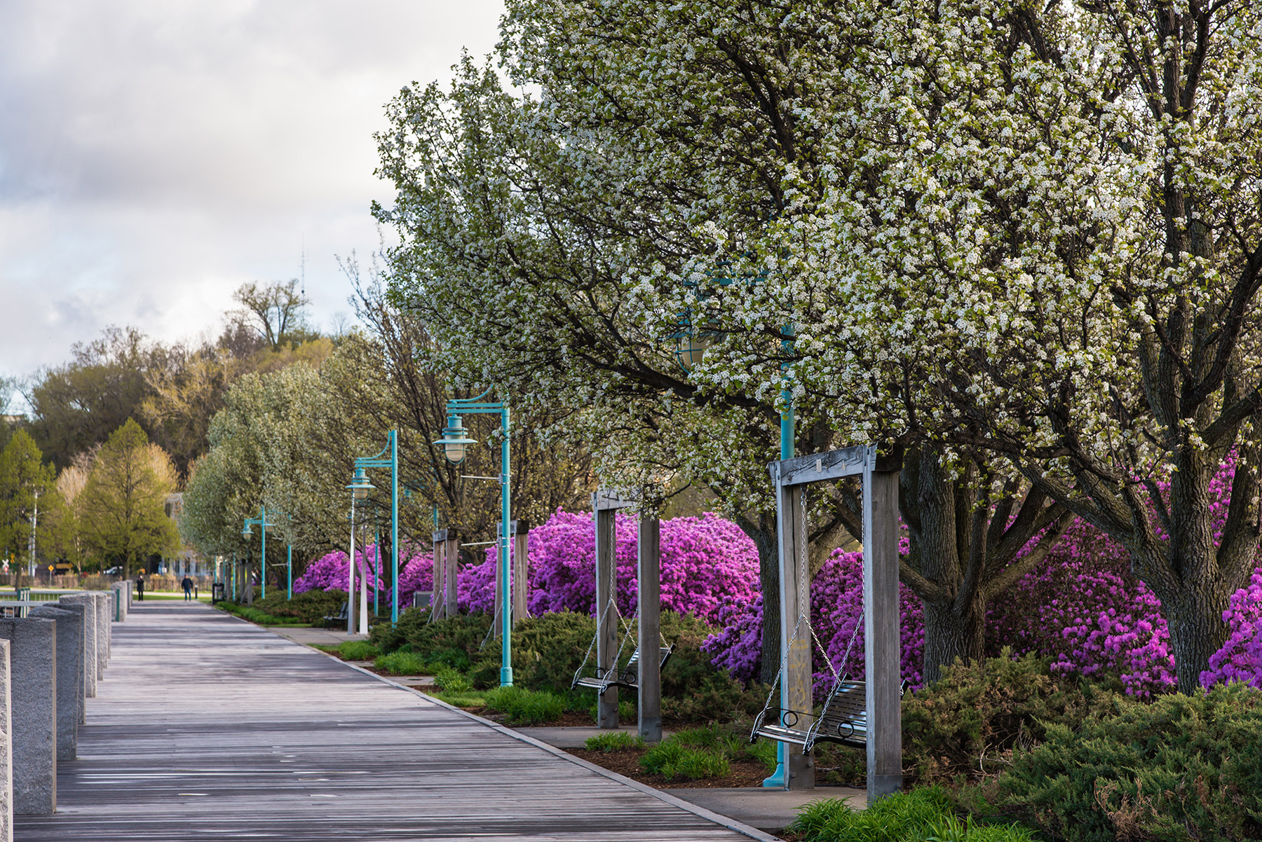A boardwalk lined with beautiful, blooming trees and shrubs and two-person wooden swings overlooking Lake Champlain