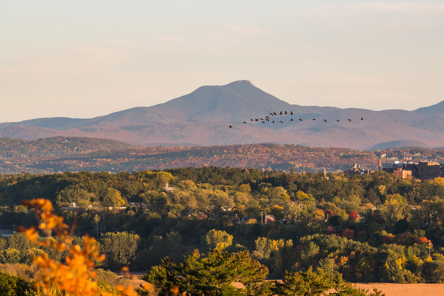 Commercial Real Estate in Vermont Donahue & Associates